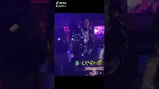 @6ix9ine fue visto tirando dinero