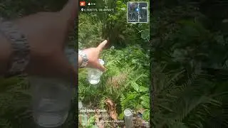 Komplek makam Surya Bajra