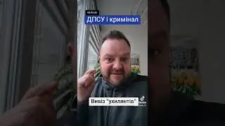 Вивіз 