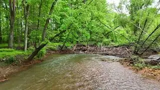 Shamokin Creek Jam