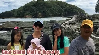 Auckland Goat Island Marine Reserve & Glass Boat Adventure | PINASimpol sa New Zealand