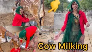 My fast vlog || cow milking by hand | Cow milking #deepika #villagelife #desi woman #trending