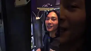 Tutorial pilih cupang multicolor yang bagus