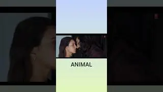 Animal movie | analysis