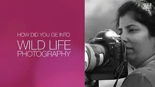 Life In Emarat Episode #2 - Nisha Purushothaman