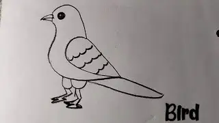How to draw a Bird 🕊️🕊️||Bird drawing||very easy||art video 