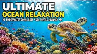 Stress Relief Sleep Music with Gentle Underwater Sounds for Meditation and Calmness