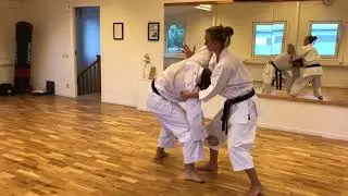 O.G.R. Karate Enköping 2018