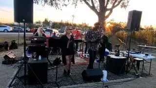 Dana Thalmann vocals  Cool Waterz Band Verde Vineyards 11-20-2022