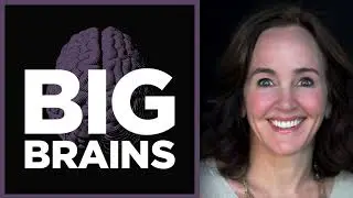 Podcast: Why we need to invest in parents during a child's earliest years, with Dana Suskind