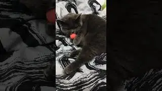 Девчонки, давайте расслабился) ☺️