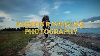 Trying Mobile videography when out for birding