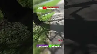 pomściłem tego węża #irl #paramaxil #twitch #shorts #snake #wypadek