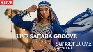 Arabic Chill EDM 🔴 LIVE 24/7 | HABIBI Drive Music
