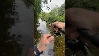 Have You Ever Been THIS Confident About Getting a Bite? #rapala #rapalalures #troutfishing