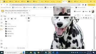 py_007. Digital Picture Background Remover with python REMBG library.