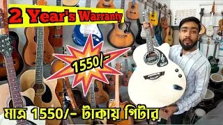 Musical Instrument Market In Kolkata | এই প্রথমবার এত কম দামে গিটার | Best Cheapest Guitar Shop