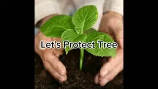 Let's  Protect Trees 🌳