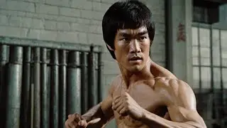 Bruce Lee Joined Power Rangers Jungle Fury