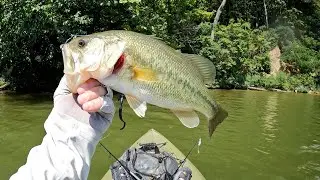 Cowan Lake 3 Jul 25