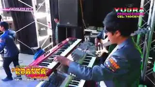 BRASSA ARDIENTE (EN VIVO 2017)  ▷ ELLA VIVE (CACHILAYA)✓
