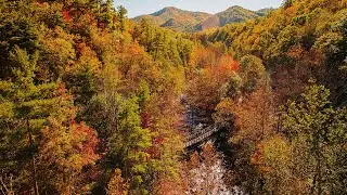 Take a fall road trip to Abingdon, VA