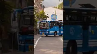 SERA Bus entry 🔥 #bus#sera#buses #entry #busentry