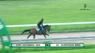 PTC TRACK WORK PREVIEW FOR SUNDAY 28TH DECEMBER 2025