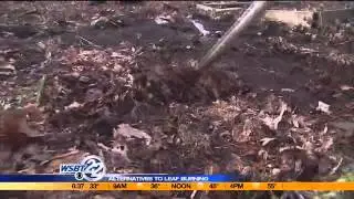 Safe, easy, eco-friendly alternatives to leaf burning