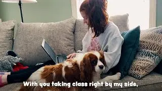 High School Pet Project