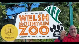 Welsh Mountain Zoo