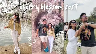 Cherry Blossom & Kite Festival Washington DC - Victor Loves Ahruaii - Summer of Love 2025