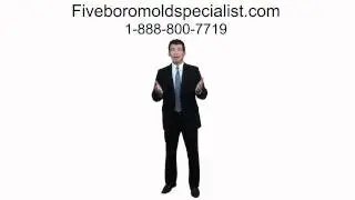 Five Boro Mold Specialist - Black Toxic Mold Remediation Company in NYC