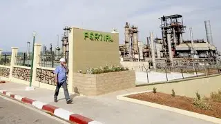 Corruption, d&eacute;tournements et sabotages : la nationalisation chaotique du fleuron FERTIAL en Alg&eacute;rie