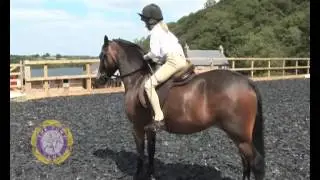Mounting