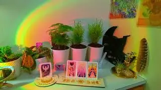 HỌ CÓ ĐỂ TÂM ĐẾN BẠN KHÔNG? | Jennie Fae Tarot 🧚