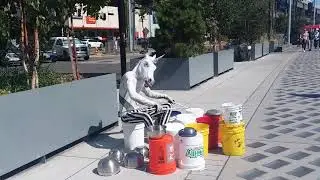 Seattle unicorn drummer