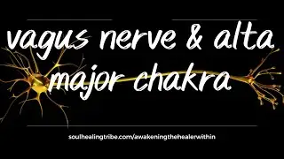 Alta Major Chakra & Vagus Nerve: What Happens when Energies / Spirits Block it & How to ReBalance?