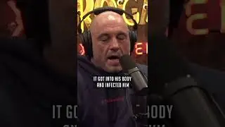 Crashed UFO Alien Encounter in Brazil - Joe Rogan
