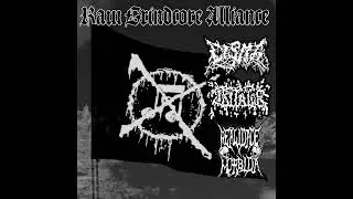 Iritator / Cisma / Realidade Morbida - Raw Grindcore Alliance (Split)