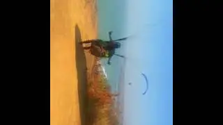 Paragliding in Goa