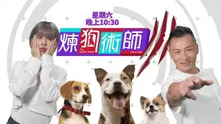 【SHH！】《煉狗術師III》今個星期六晚出街喇！｜Eric Ko｜鄺芷凡