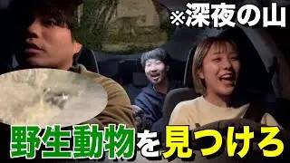 【ナイトZOO】田舎の山道で動物３種類見つけれるまで帰れません！！！！