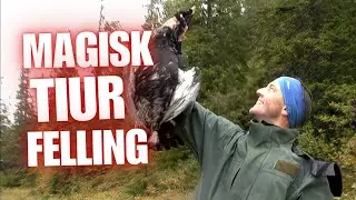 MAGISK TIURFELLING