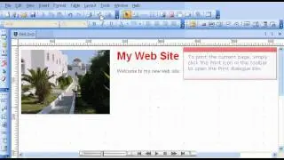 How to Preview and Print your Website in the BlueVoda Website Builder