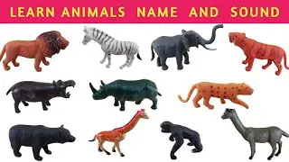 Wild animals name and sound,1.5 year kid shows wild animals,learning wild animals in a funny way...