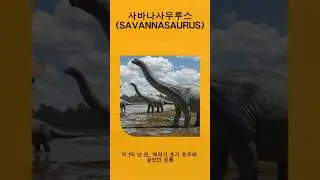 타임머신타고공룡친구만나러(사바나사우루스(SAVANNASAURUS)정보)#동요#어린이애니메이션#어린이동요#정보