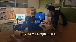 Бруша у кардиолога: подготовка к чистке и удалению больных зубов