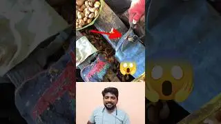 #super #cashew #nut #boiling #separate #remov #work #ideas #viral #shorts #videos #trending #reels