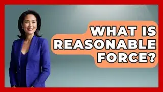 What Is Reasonable Force? - The Right Politics